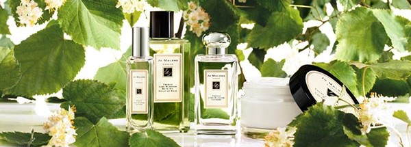 祖馬龍植物廣告創意設計圖